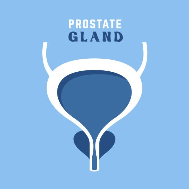 Prostate