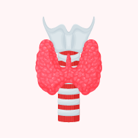 Thyroid