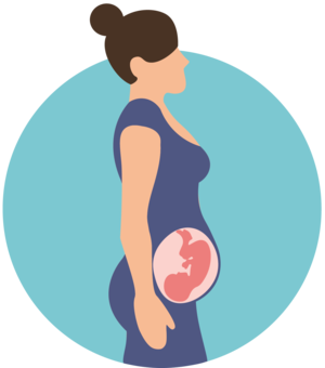 Pregnancy(Biochemistry)