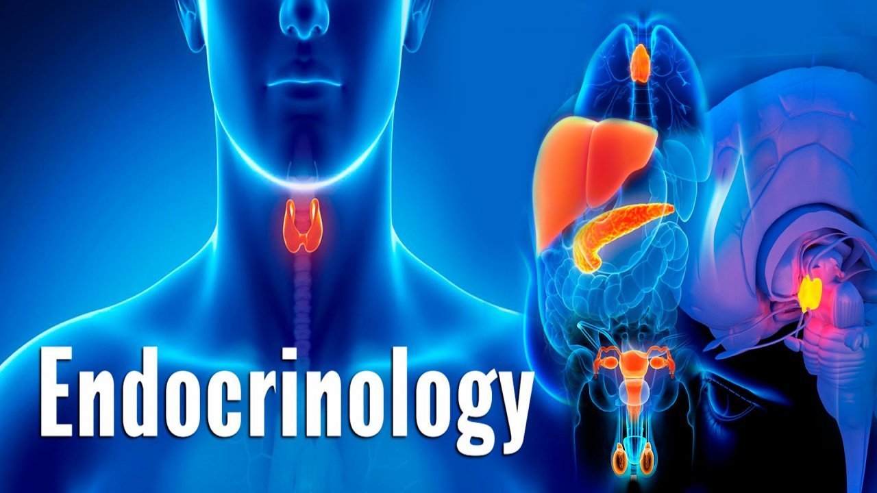 Endocrinology