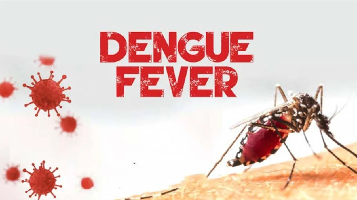 DENGUE PROFILE