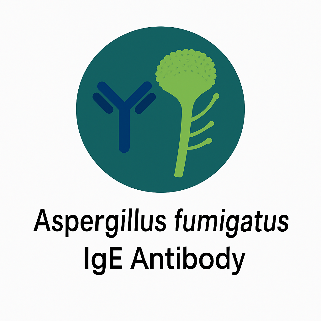 Aspergillus fumigatus IgE Antibody