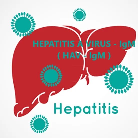 HEPATITIS A VIRUS - IgM ( HAV - IgM )