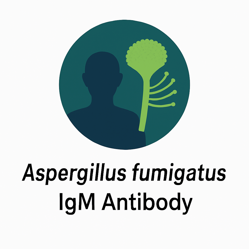 Aspergillus fumigatus IgM Antibody
