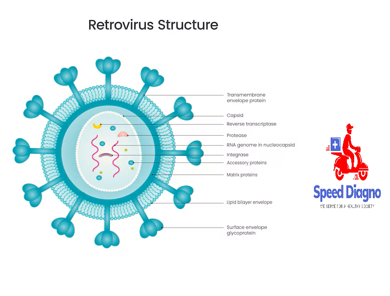 RETROVIRUS I & II
