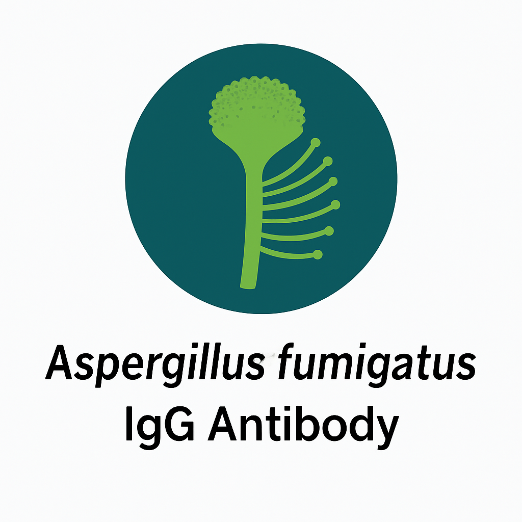 Aspergillus fumigatus IgG Antibody