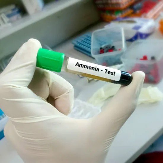 AMMONIA