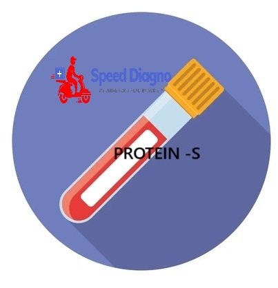 PROTEIN -S