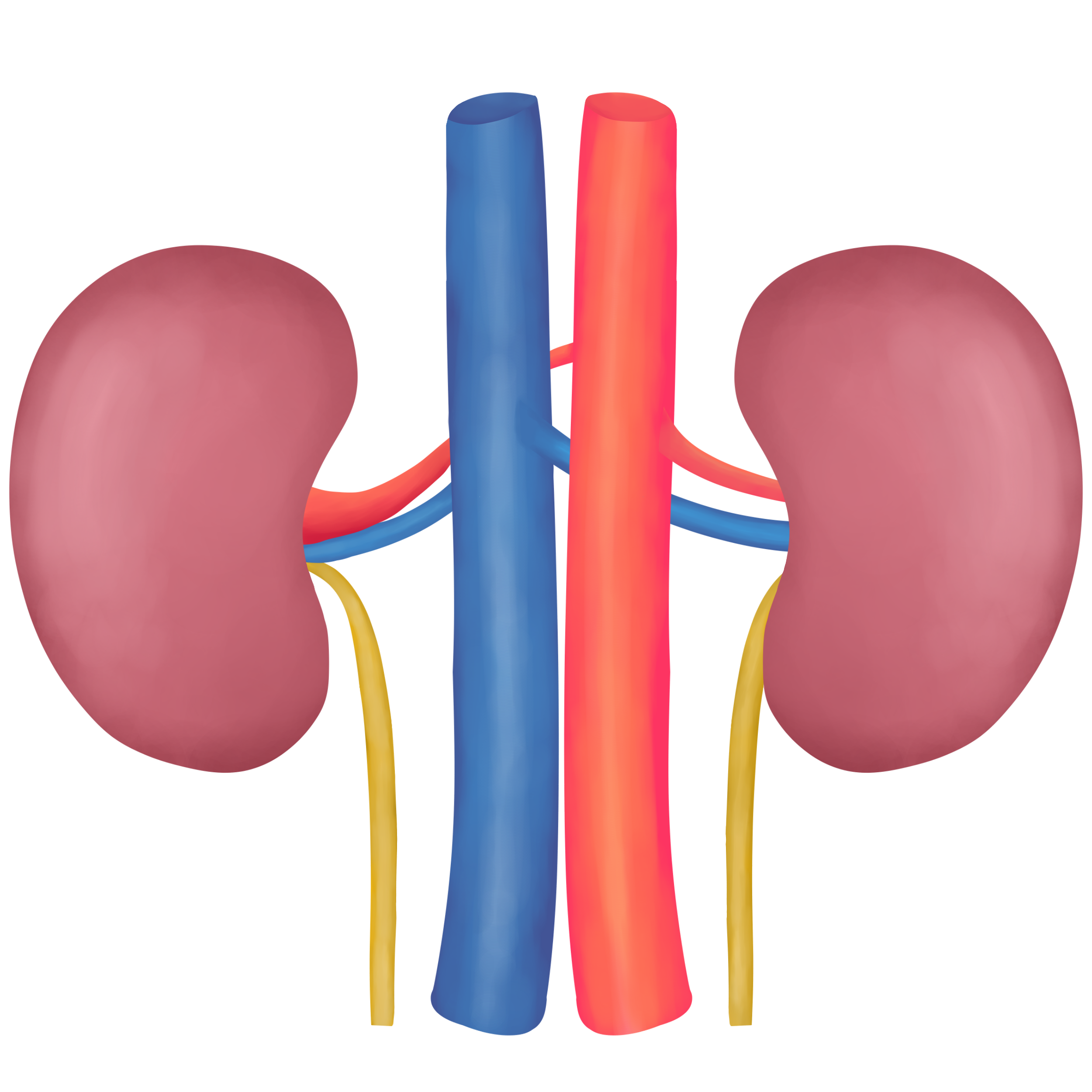 Bun/Creatinine Ratio (SERUM)