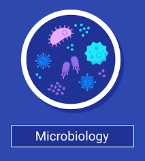 ACID -FAST BACILLI - AFB