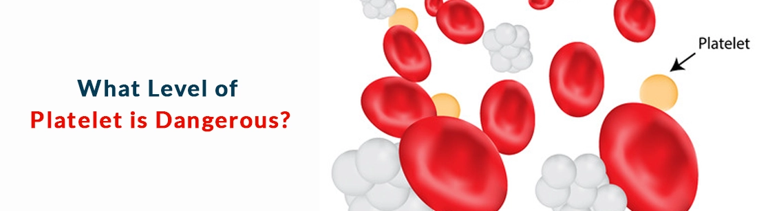 PLATELETS COUNT